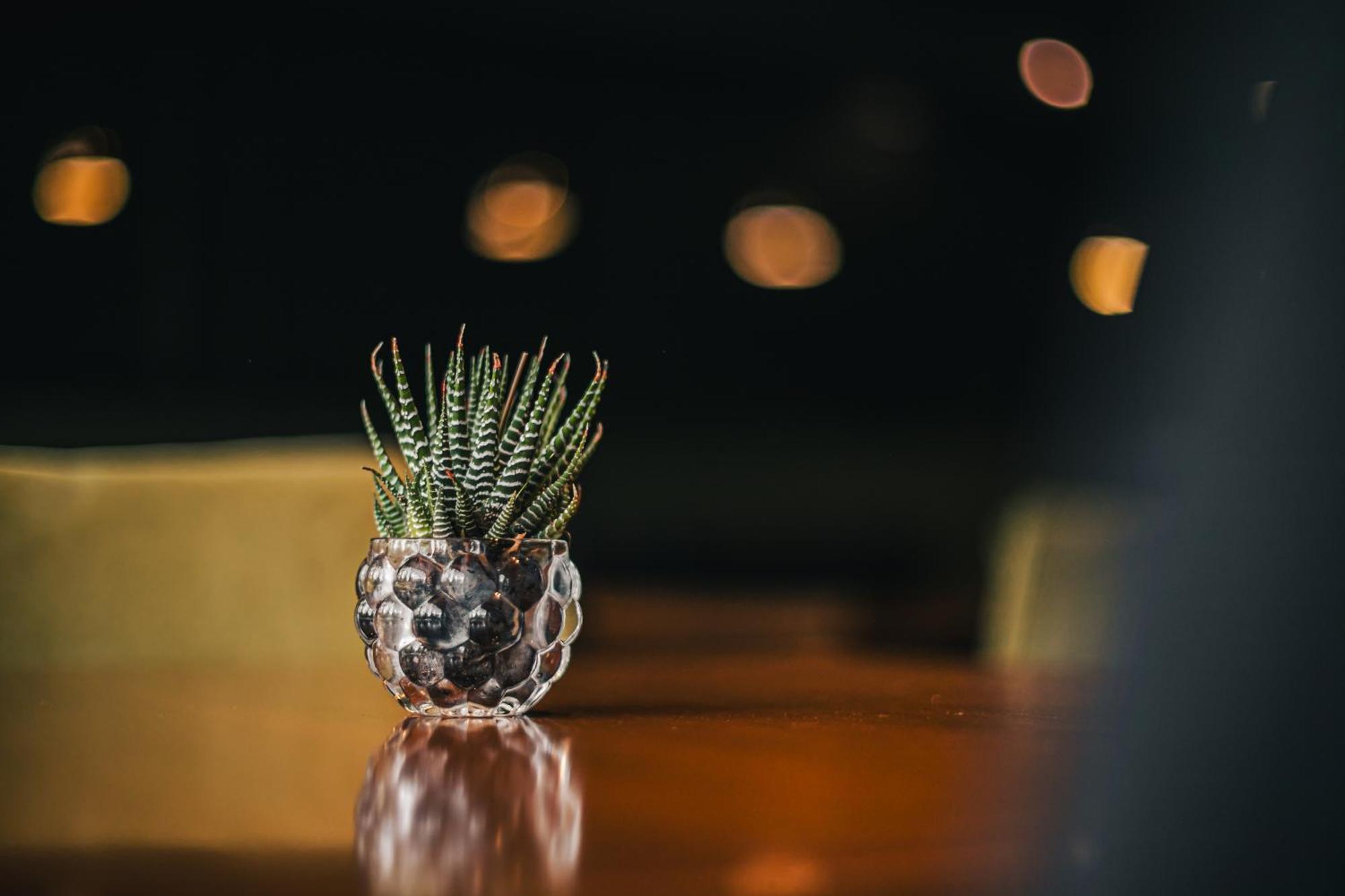 Portal Plaza Suites Mendoza Eksteriør bilde